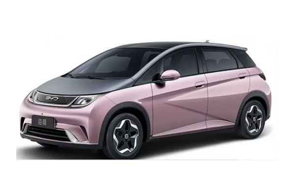 BYD Dolphin Price in France