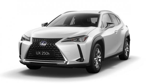 Lexus UX 250h Luxury 2020 Price in Japan