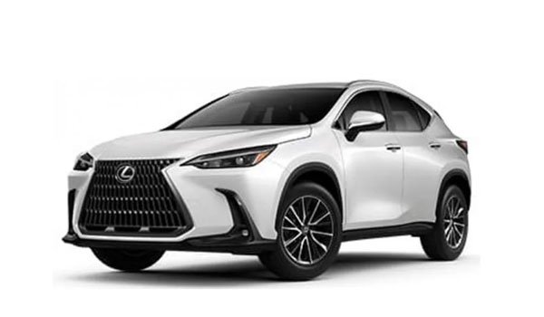 Lexus NX 250 AWD 2023 Price in South Africa