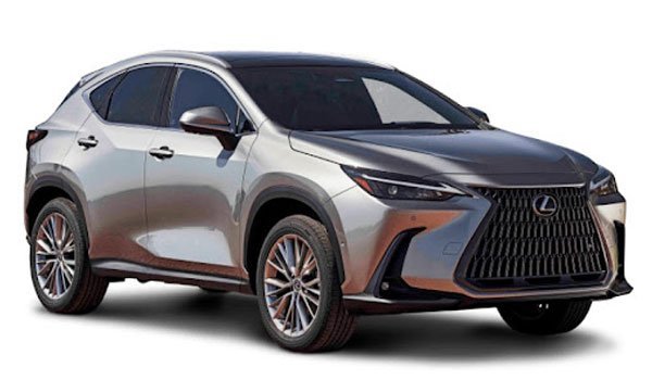 Lexus NX 250 Luxury 2022 Price in USA