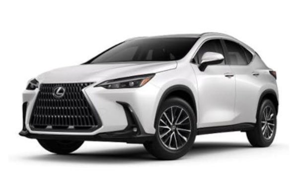 Lexus NX 250 PREMIUM 2022 Price in Indonesia