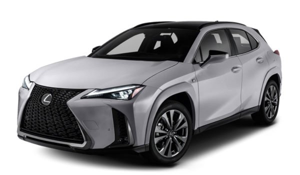 Lexus UX 250h F SPORT HANDLING 2023 Price in China