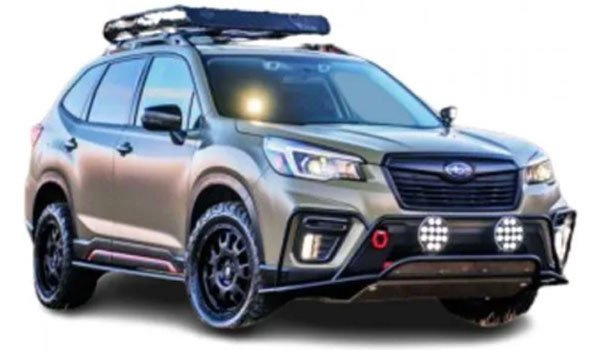 Subaru Forester Wilderness 2023 Price In Australia Features And Specs 