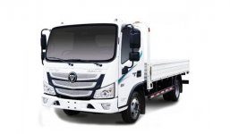 Foton Aumark S