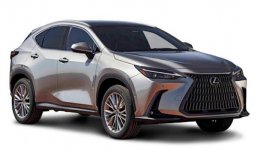 Lexus NX 250 Luxury 2022