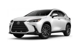 Lexus NX 250 Premium 2024