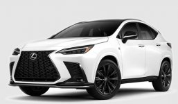 Lexus NX 350 F SPORT Handling 2022