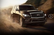 Infiniti QX Series 80 Luxury