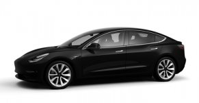 Tesla Model 3 Standard Range Plus 2021